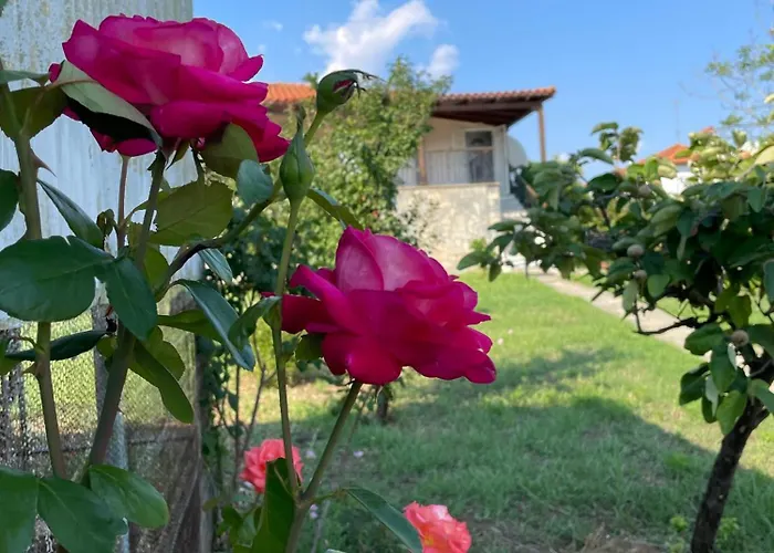Carefree Dreams : In Chalkidiki Flogita