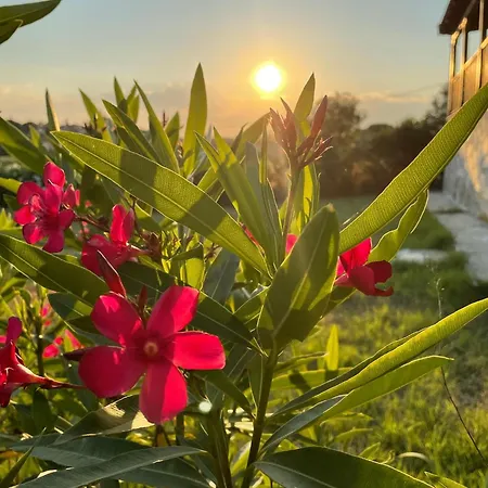 Carefree Dreams : In Chalkidiki