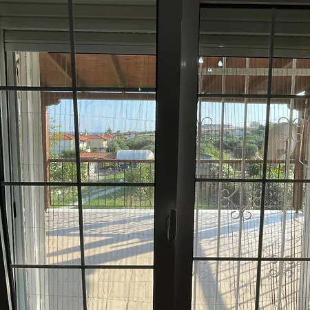 Carefree Dreams : In Chalkidiki Flogita