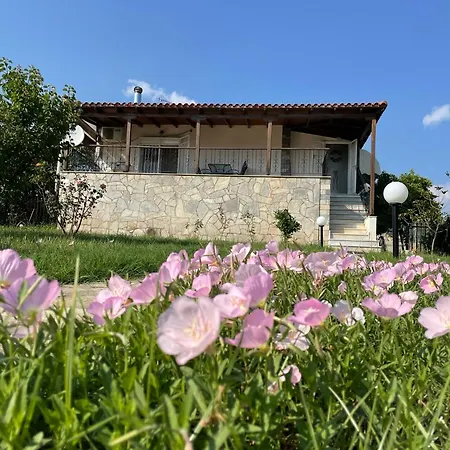 Carefree Dreams : In Chalkidiki Dom wakacyjny *