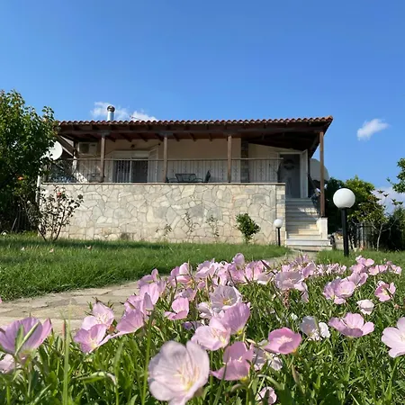 Prázdninový dům Carefree Dreams : In Chalkidiki *