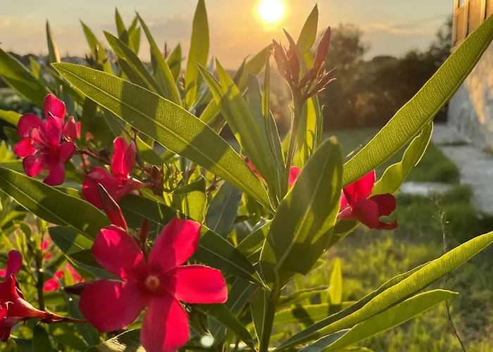 Carefree Dreams : In Chalkidiki