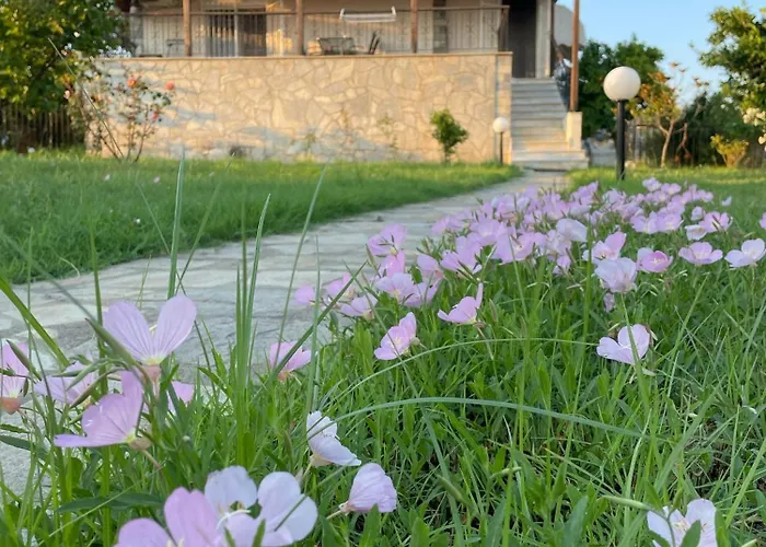 Feriehus Carefree Dreams : In Chalkidiki